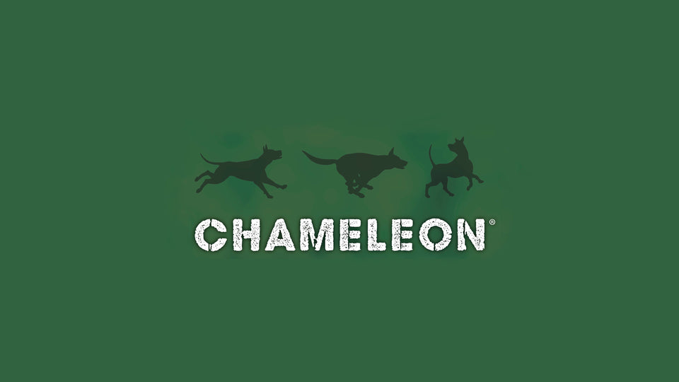 Chameleon System