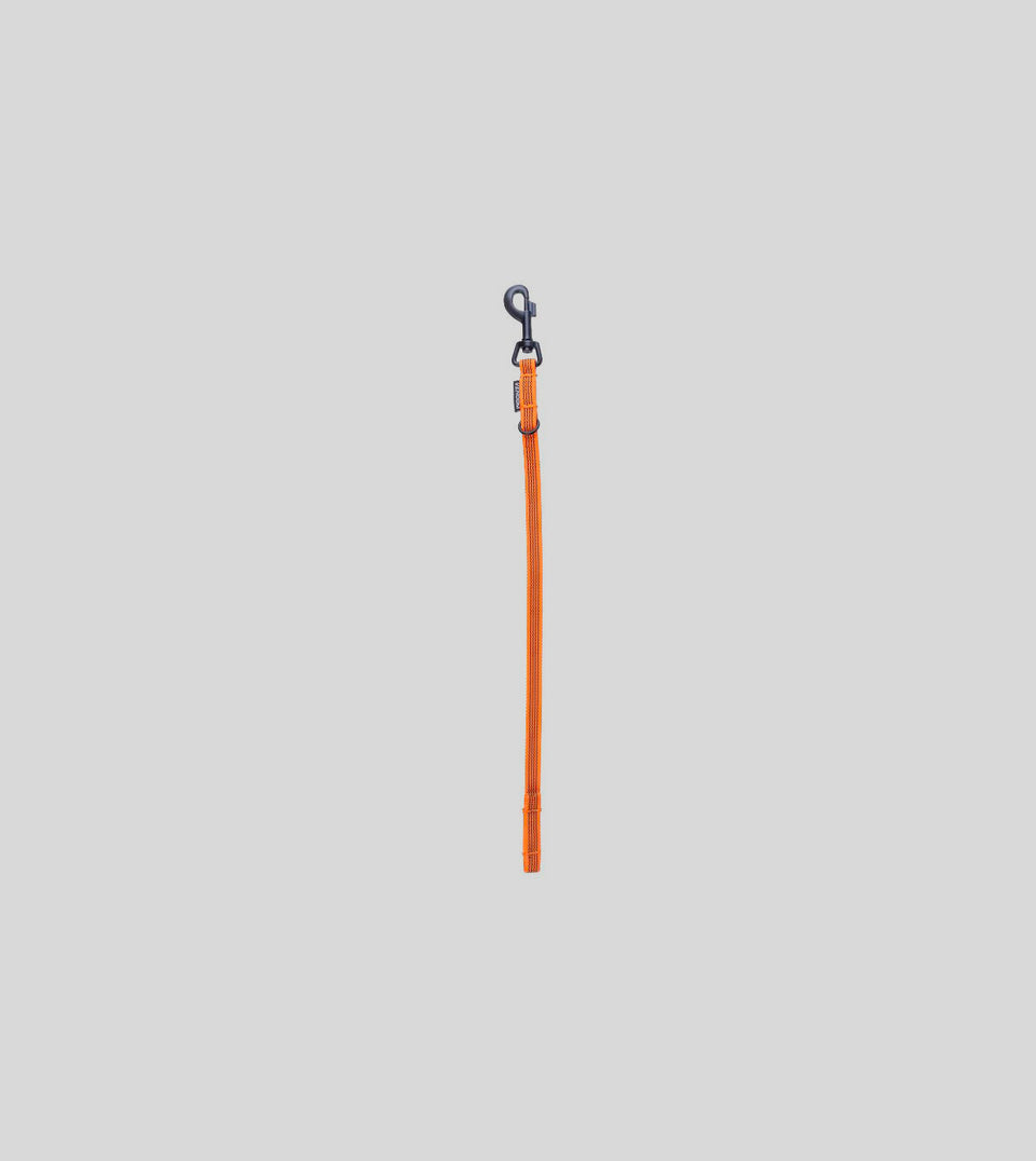 Rubber leash 2in1 - short
