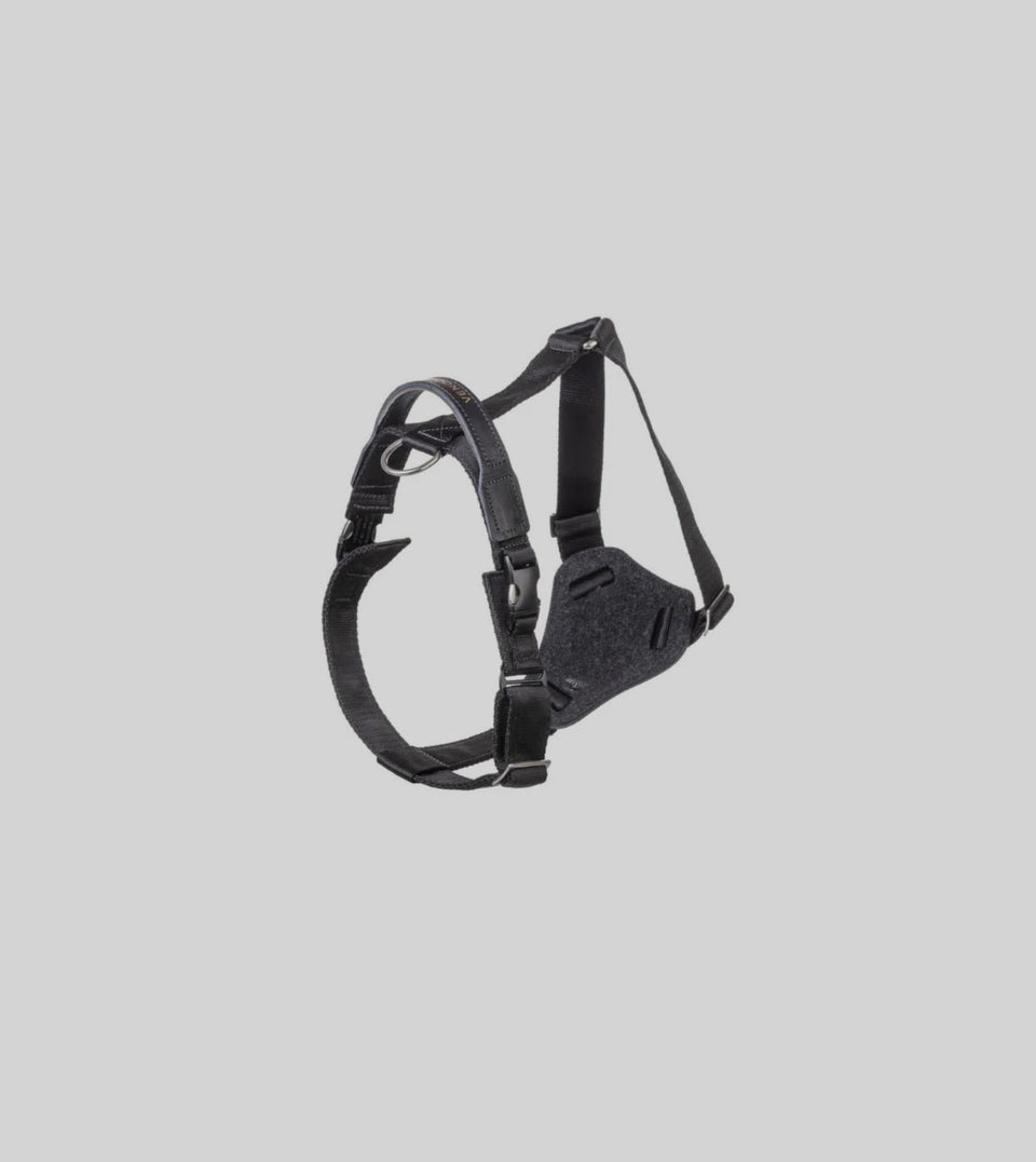 VENOOM. Harness