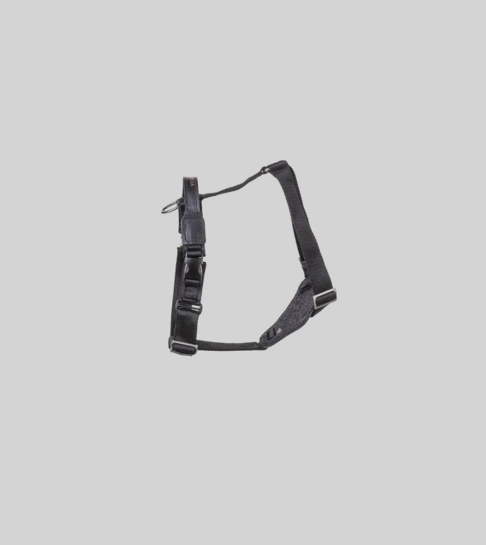 VENOOM. Harness