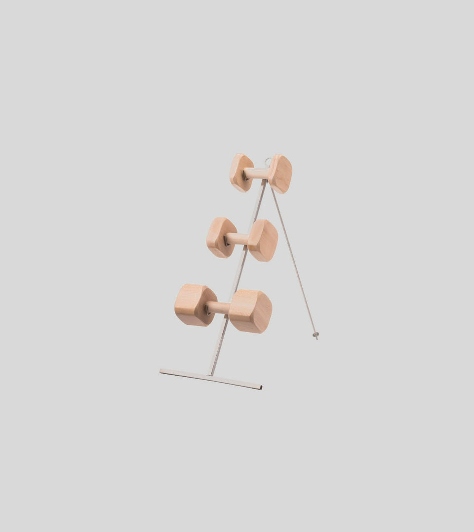 Dumbbell stand