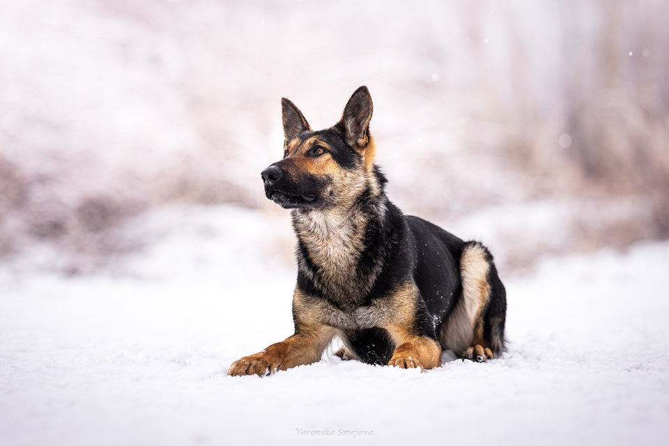 Double down vom Arcane