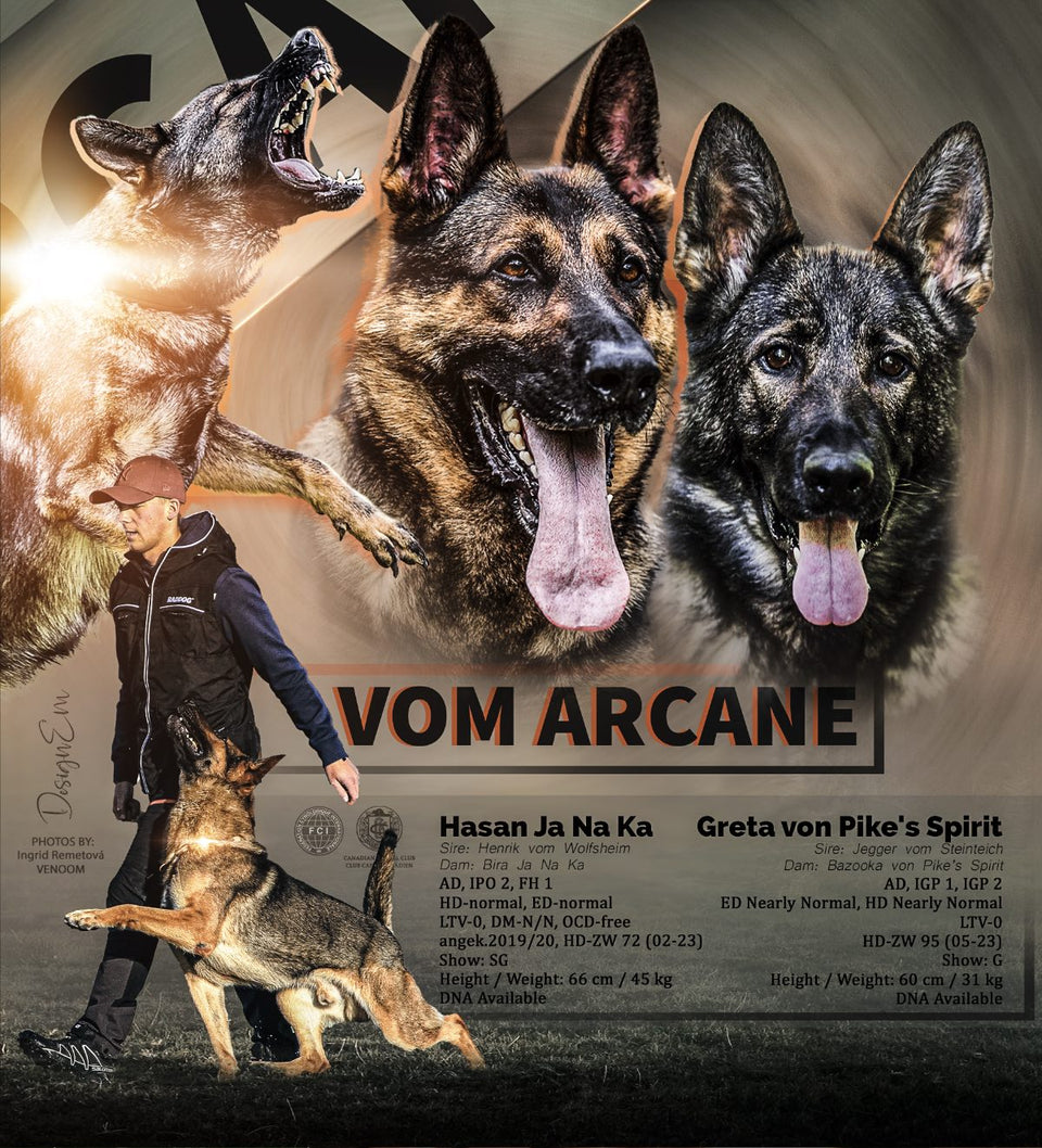 "C" vom Arcane - VENOOM® - Official Site