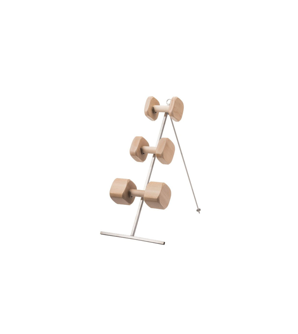 Dumbbell stand - VENOOM® - Official Site